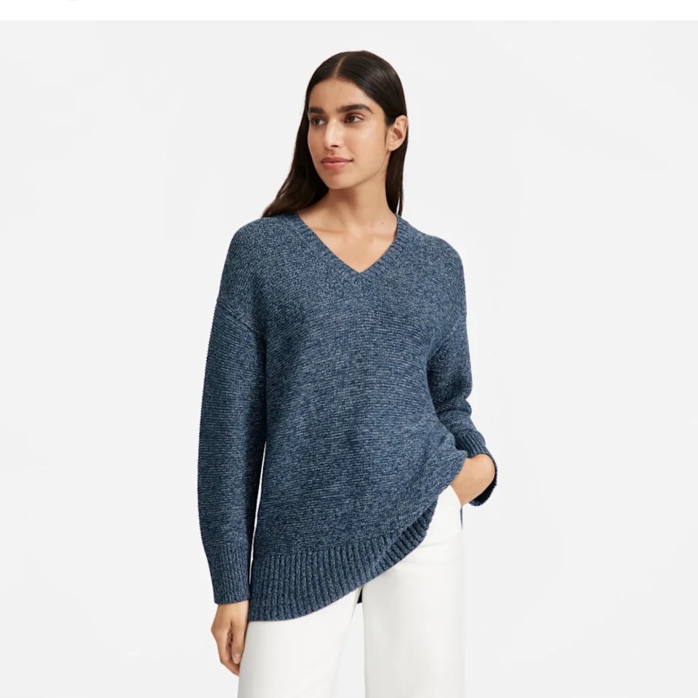 Everlane 100% Cotton V-Neck Pullover Sweater